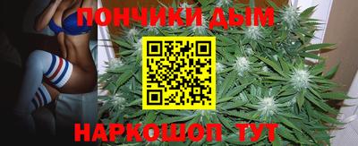 сатива Конаково