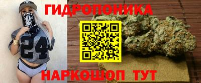 сатива Конаково