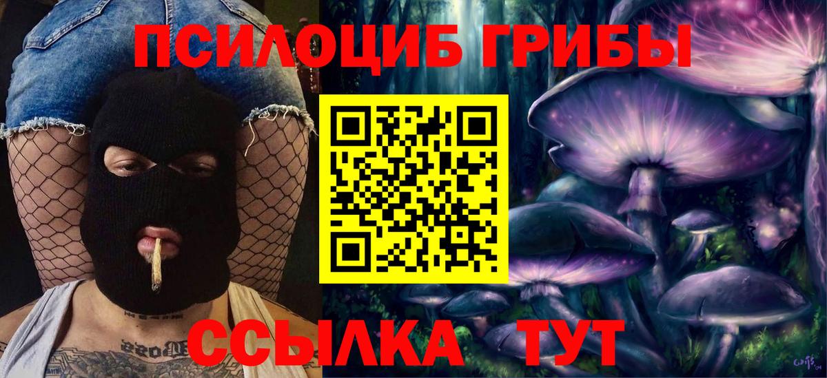 Псилоцибиновые грибы Psilocybe Черкесск