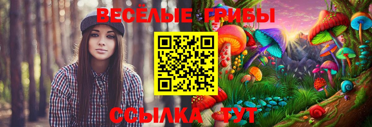 Галлюциногенные грибы Magic Shrooms  Псилоцибиновые грибы мухоморы  Вход с VPN  Черкесск 